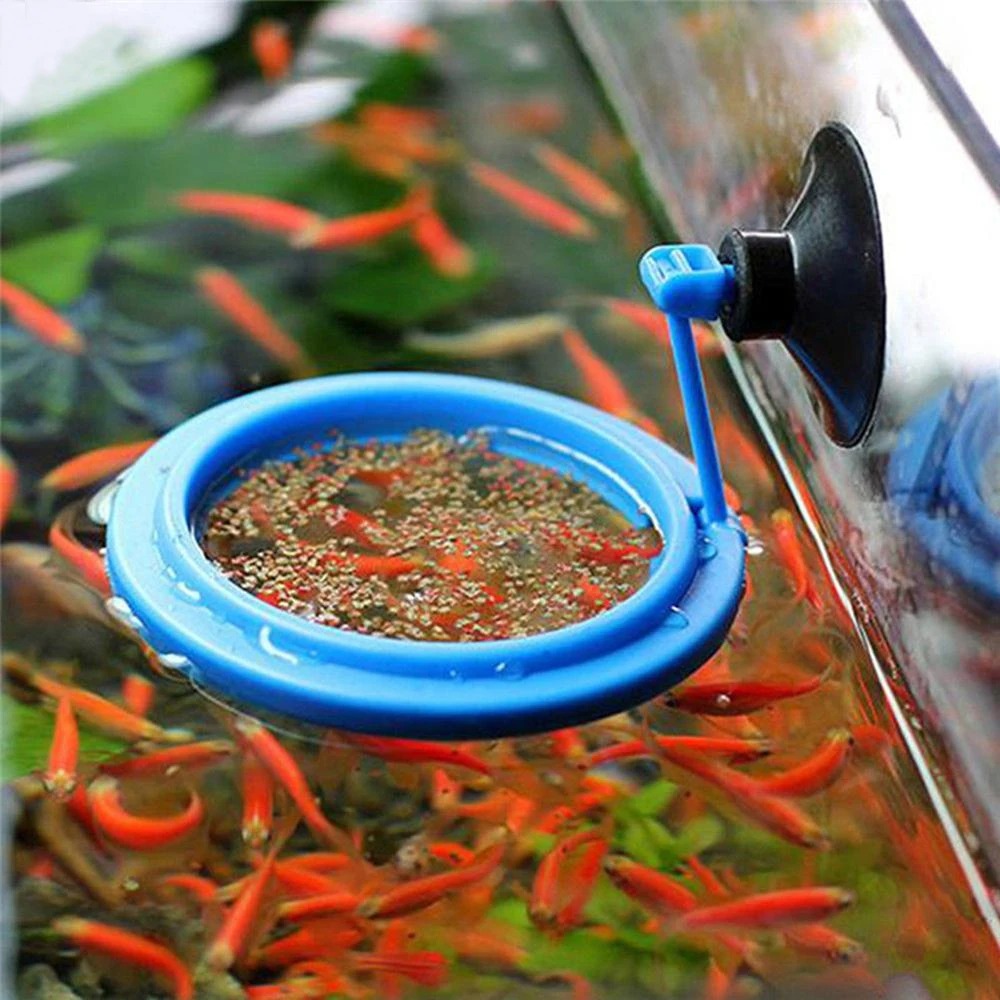 Aquarium Plant Nutrients - Neue Aquarium Fütterung Ring Aquarium Station