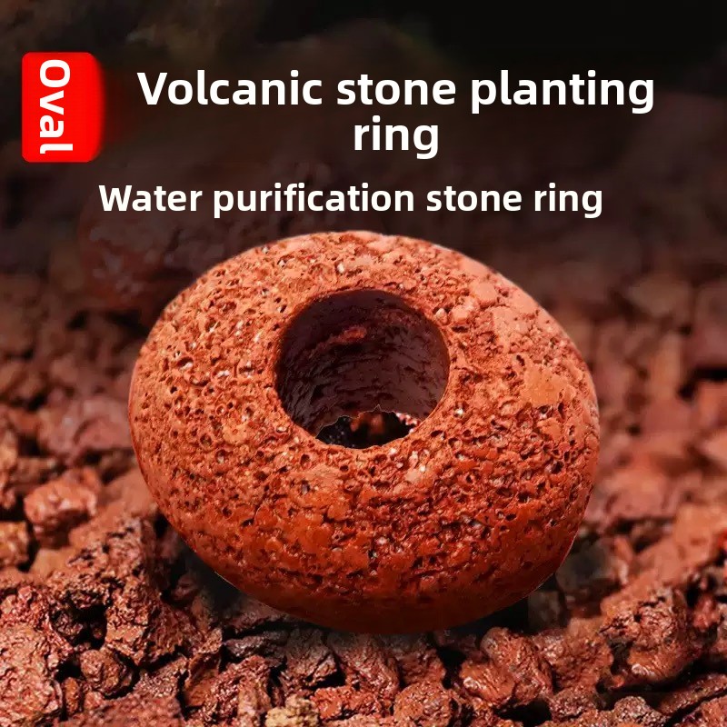 Planted Aquarium Care - Aquarium Vulkanstein Pflanzring für Aquarien Wasserpflanzenpflege