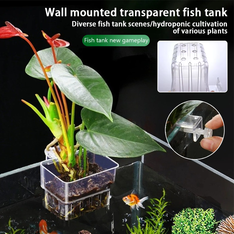 Aquarium Plant Ornament - Aquarium Hängepflanzgefäße Wandmontierte Aquatische Pflanzenhalter Aquarium
