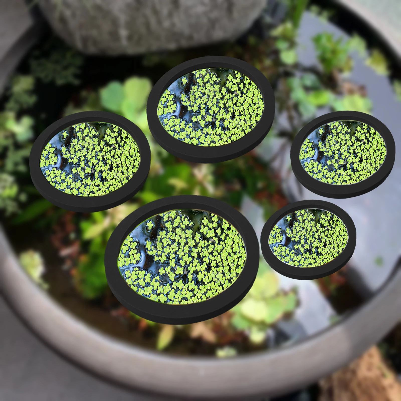 Aquarium Planted Aquarium - 5Pcs EVA Fisch Fütterung Ring Aquarium