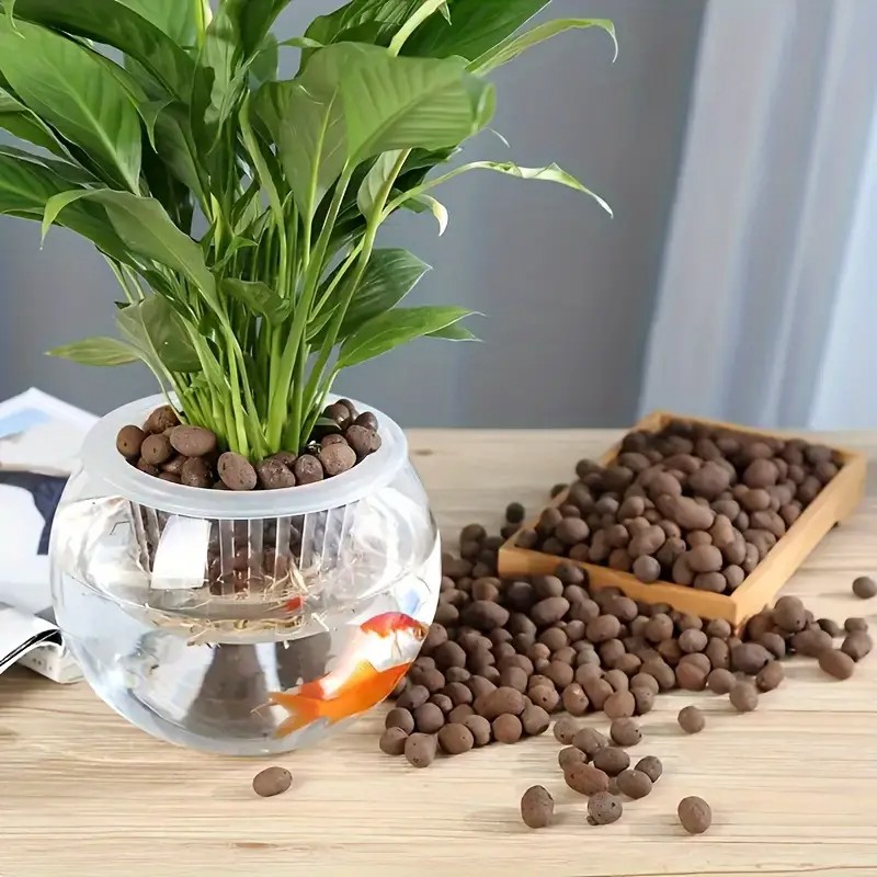 Leichte und atmungsaktive Terr – Aquarium Planted Aquarium Bewertung und Preis
