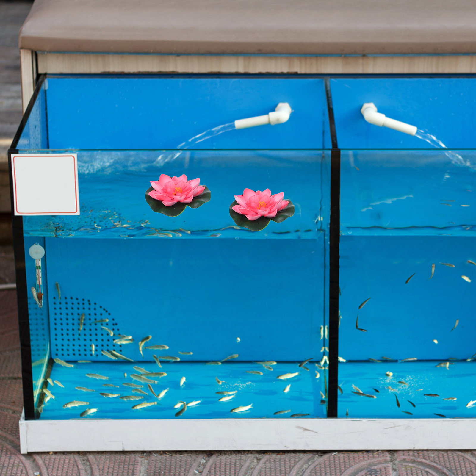 12 Stück Künstliche Schwimmend – Aquarium Planted Aquarium Bewertung und Preis