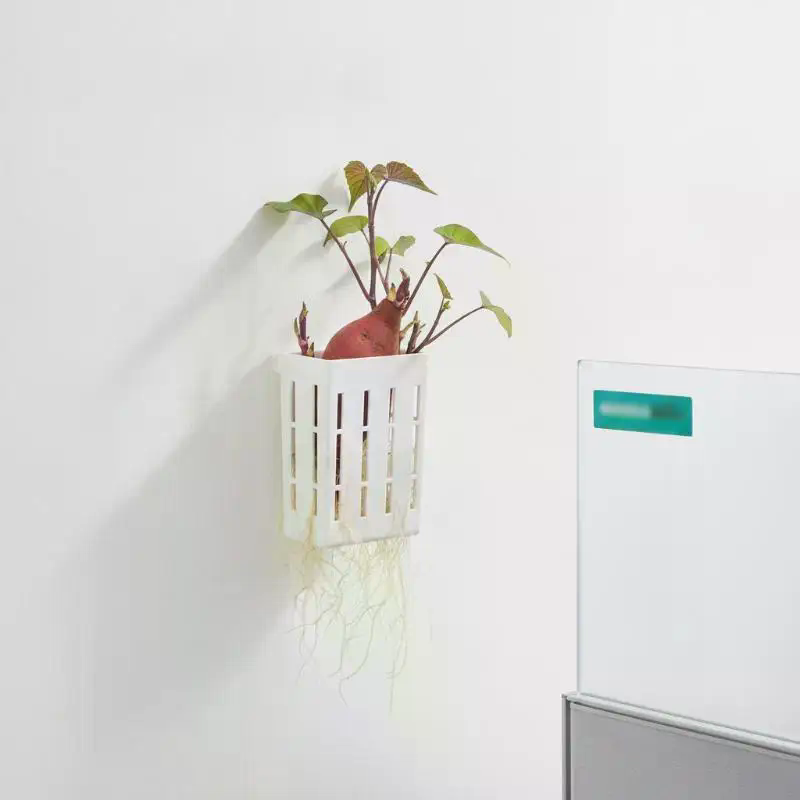1 Stück Hydroponischer Stützko – Aquarium Planted Aquarium Bewertung und Preis