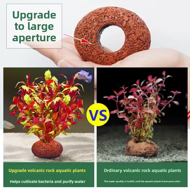Aquarium Vulkanstein Pflanzrin – Planted Aquarium Care Bewertung und Preis