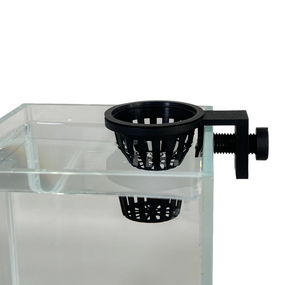 Aquarienpflanzenhalter mit Sch – Planted Aquarium Anubias Bewertung und Preis