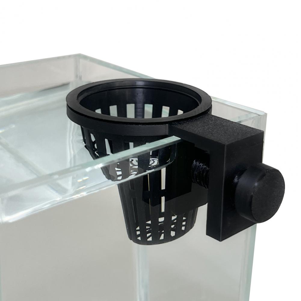 Aquarienpflanzenhalter mit Sch – Planted Aquarium Anubias Bewertung und Preis