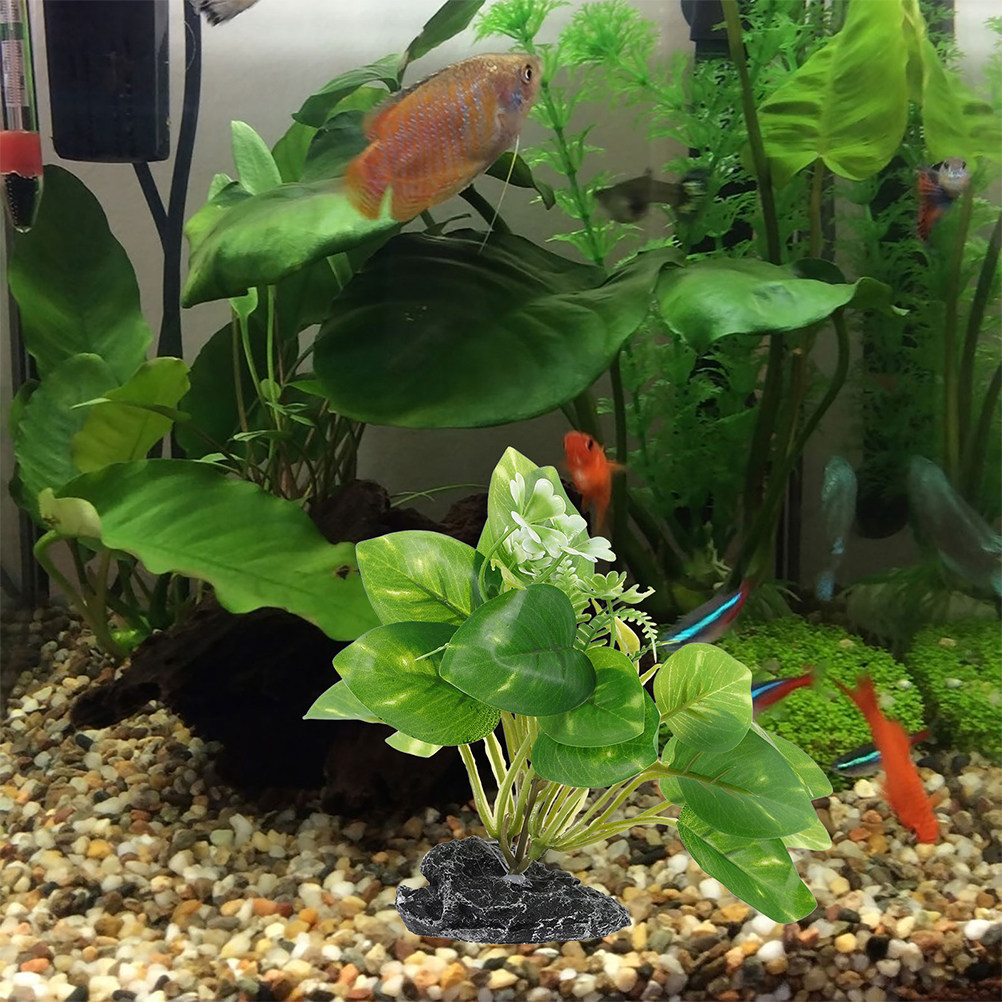 2 Stück Künstliche Pflanzen fü – Planted Aquarium Maintenance Bewertung und Preis