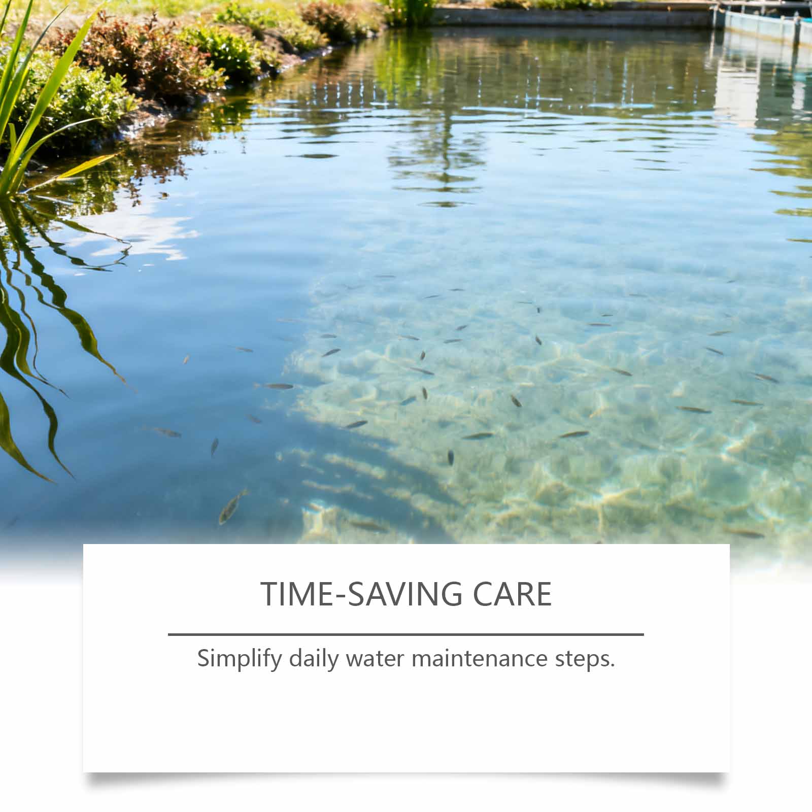 1/2/3/5 Stück Aquarium-Wasserk – Planted Aquarium Care Bewertung und Preis