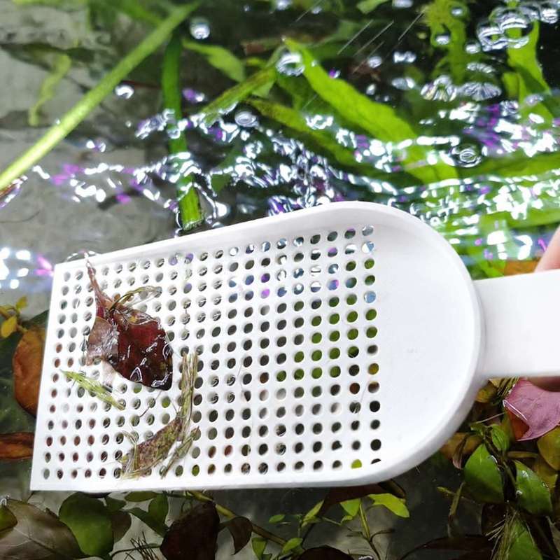 Aquarium-Fischbecken-Schmutzsc – Planted Aquarium Maintenance Bewertung und Preis