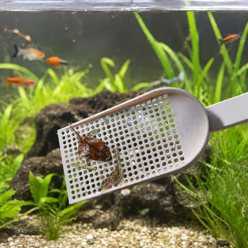 Aquarium-Fischbecken-Schmutzsc – Planted Aquarium Maintenance Bewertung und Preis