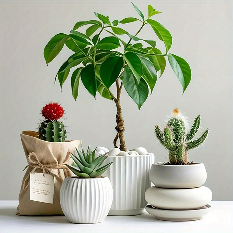 200/400g weiße hochglanzpolier – Aquarium Planted Aquarium Bewertung und Preis