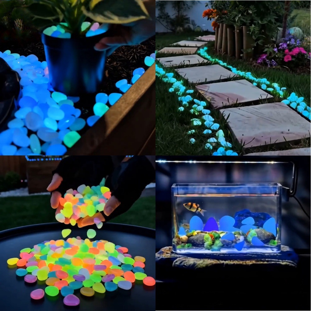 Bunte, im Dunkeln leuchtende K – Aquarium Planted Aquarium Bewertung und Preis