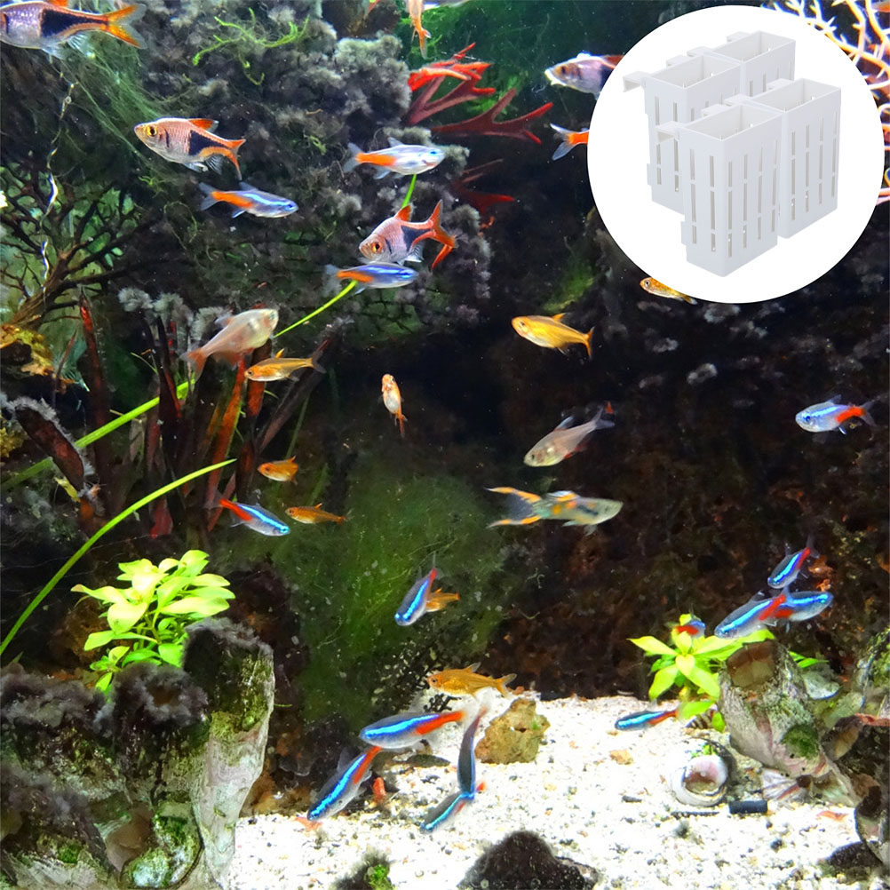 4 Stück Kunststoff-Aquarienpfl – Aquarium Plant Nutrients Bewertung und Preis