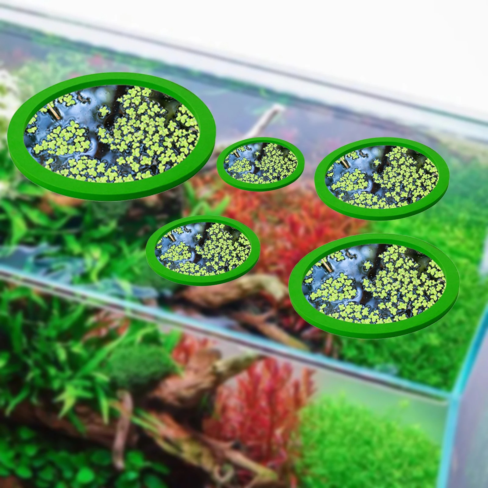 5Pcs EVA Fisch Fütterung Ring  – Aquarium Planted Aquarium Bewertung und Preis