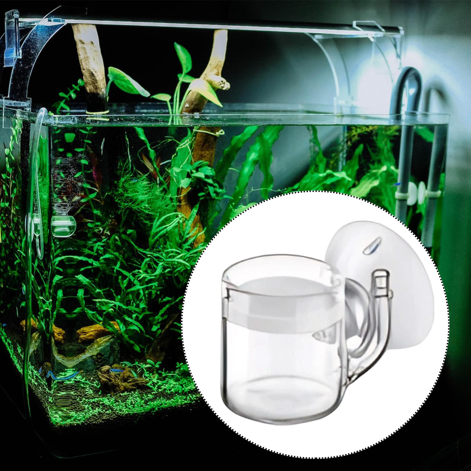 Aquarium-Diffusor aus Glas, CO – Planted Aquarium Care Bewertung und Preis