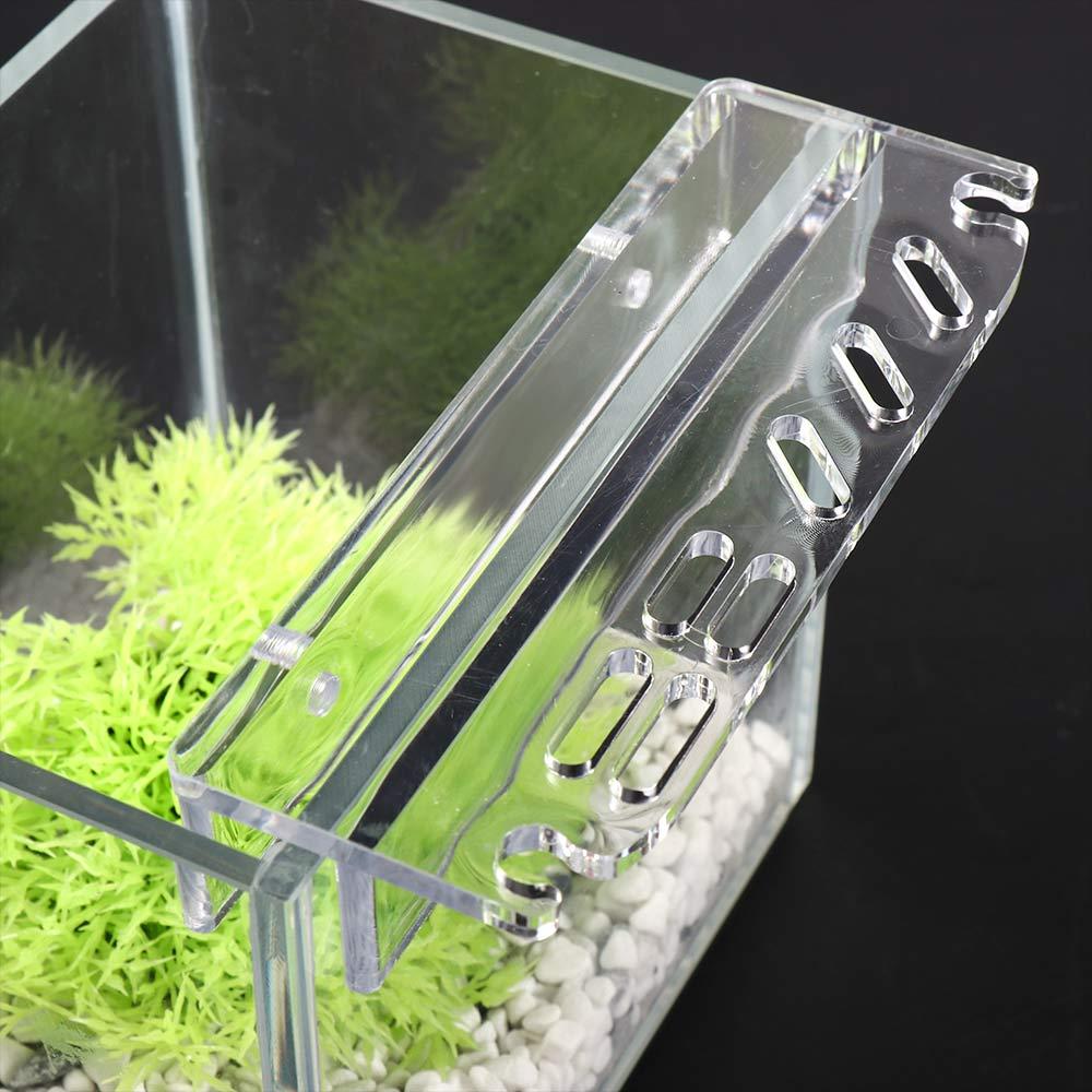 Reinigungswerkzeug-Zubehör Auf – Planted Aquarium Maintenance Bewertung und Preis
