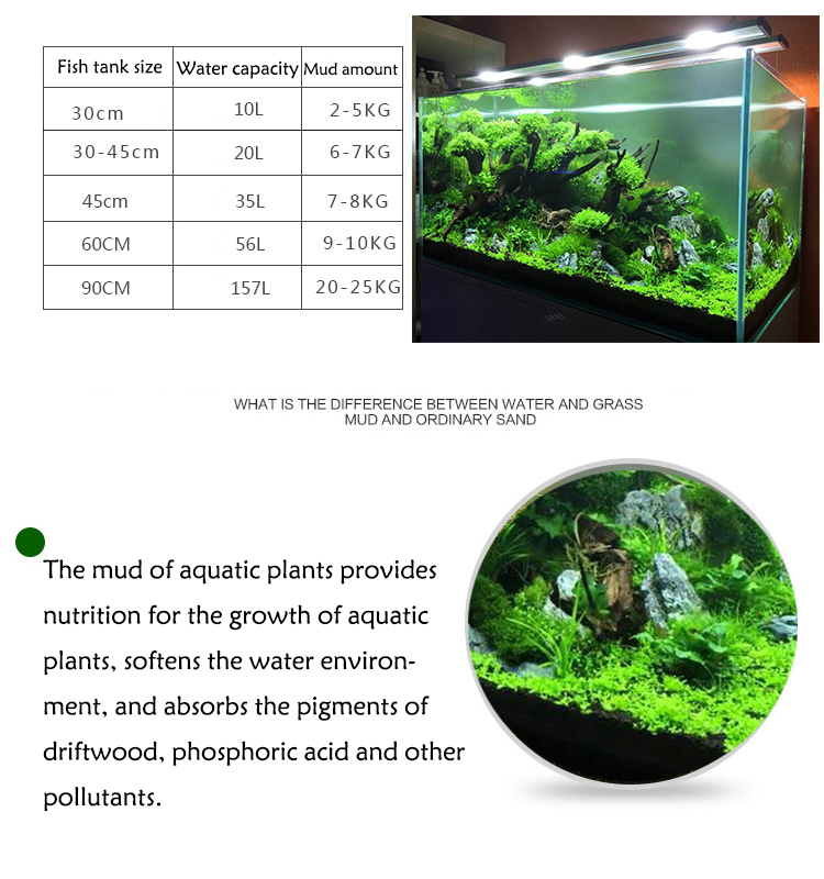 Aquarium Pflanzen Samen Boden  – Planted Aquarium Care Bewertung und Preis