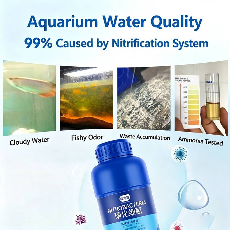 Aquarium Süßwasser 120ml Pfleg – Planted Aquarium Care Bewertung und Preis