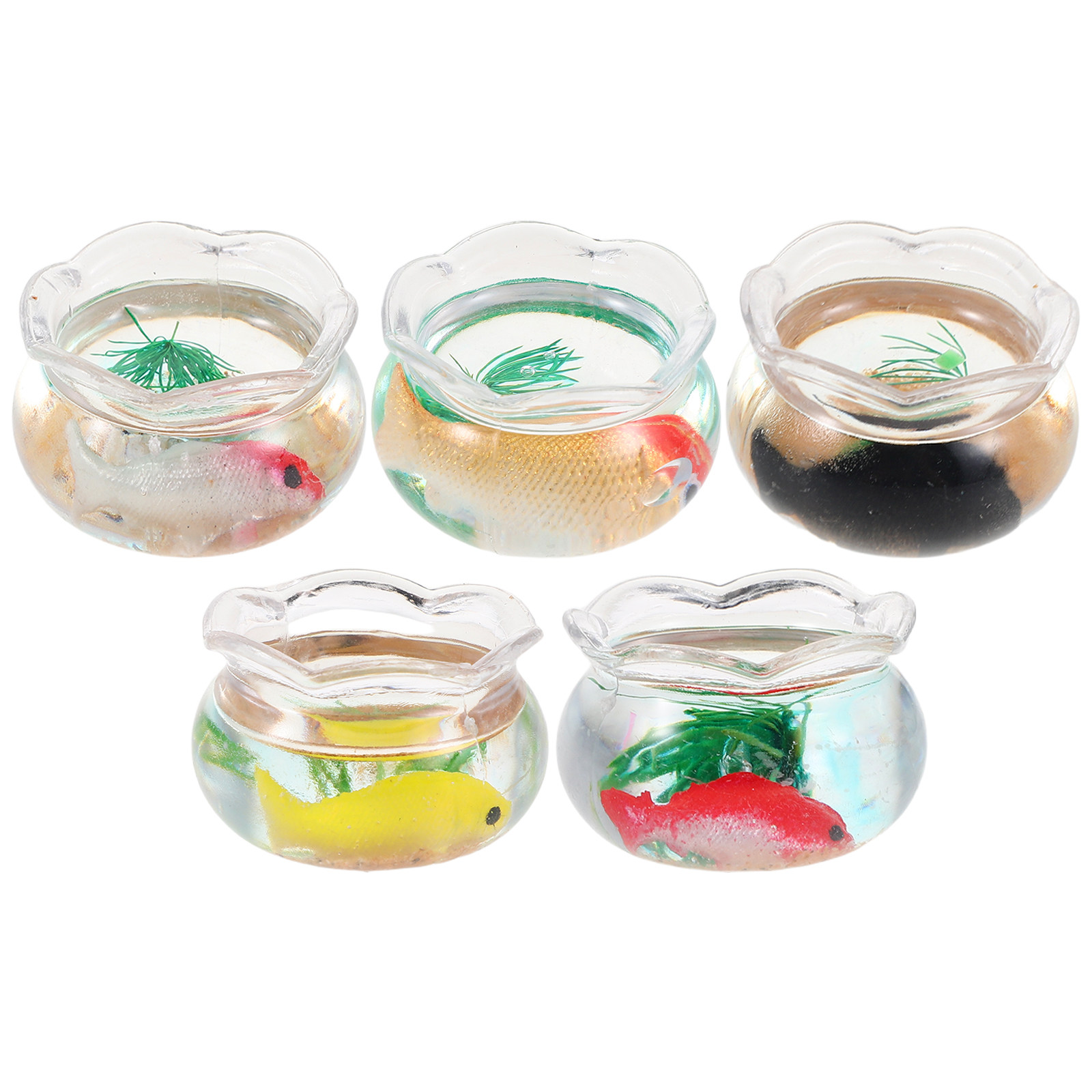 5 Stück Miniatur-Fischbecken,  – Aquarium Planted Aquarium Bewertung und Preis