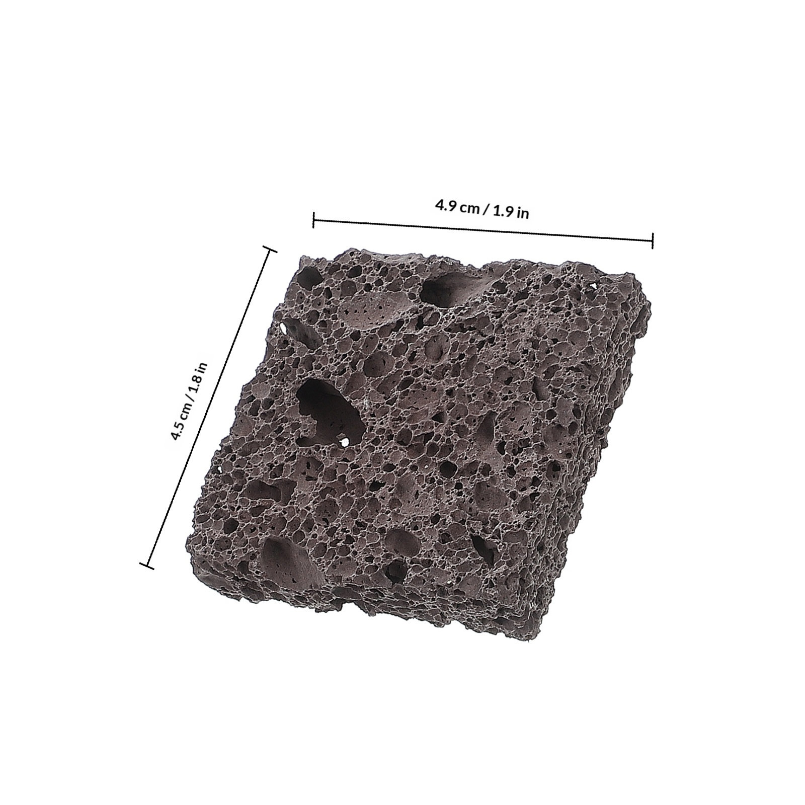 3 Stück Wasserpflanzen-Vermehr – Planted Aquarium Anubias Bewertung und Preis